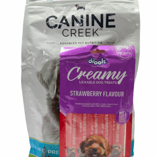 canine creek dog puppy