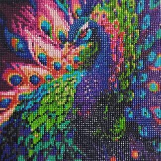 Peacock painting