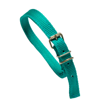 Premium Adjustable Nylon Dog Collar – Soft Comfortable Durable Pet Neck Collar with Metal Buckle & D Ring – Strong Training & Walking Dog Collar – Green Dog Collar